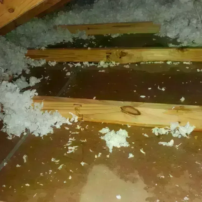 Attic Water Damage in High Ridge, MO